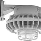RAB HAZBLED26F-DG 26W Wall Mount LED Hazardous Location Fixture, 5100K (Cool), 1916 Lumens, 70 CRI, Frosted Globes, Die Cast Guard, Natural Finish