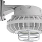 RAB HAZBLED26FF-DG 26W Wall Mount LED Hazardous Location Fixture, 5100K (Cool), 2249 Lumens, 69 CRI, Frosted Lens, Die Cast Guard, Natural Finish