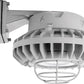 RAB HAZBLED42CF-G 42W Wall Mount LED Hazardous Location Fixture, 5100K (Cool), 3816 Lumens, 69 CRI, Clear Lens, Wire Guard, Natural Finish