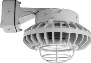 RAB HAZBLED42CF-G 42W Wall Mount LED Hazardous Location Fixture, 5100K (Cool), 3816 Lumens, 69 CRI, Clear Lens, Wire Guard, Natural Finish