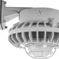 RAB HAZBLED42F-G 42W Wall Mount LED Hazardous Location Fixture, 5100K (Cool), 3076 Lumens, 70 CRI, Frosted Globes, Wire Guard, Natural Finish