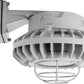 RAB HAZBLED42FF-G 42W Wall Mount LED Hazardous Location Fixture, 5100K (Cool), 2986 Lumens, 69 CRI, Frosted Lens, Wire Guard, Natural Finish
