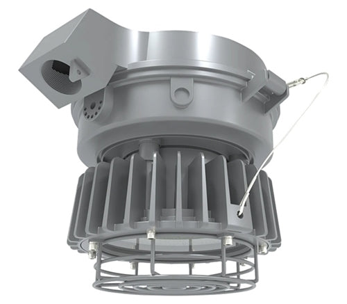 RAB HAZLED60SCF 60W Hazardouz LED Light, 5000K, 8957 Lumens, 80 CRI