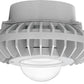 RAB HAZPLED26C 26W Pendant Mount LED Hazardous Location Fixture, 5100K (Cool), 2878 Lumens, 70 CRI, Clear Globes, No Guard, Natural Finish