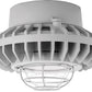 RAB HAZPLED26C-G 26W Pendant Mount LED Hazardous Location Fixture, 5100K (Cool), 2521 Lumens, 70 CRI, Clear Globes, Wire Guard, Natural Finish