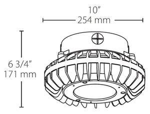 RAB HAZPLED26CF 26W Pendant Mount LED Hazardous Location Fixture, 5100K (Cool), 2881 Lumens, 69 CRI, Clear Lens, No Guard, Natural Finish