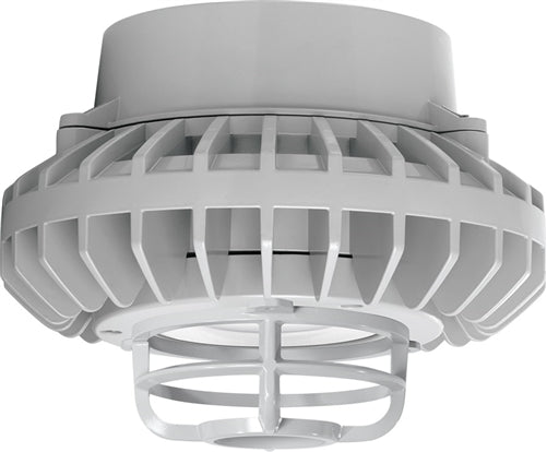 RAB HAZPLED26CF-DG 26W Pendant Mount LED Hazardous Location Fixture, 5100K (Cool), 2881 Lumens, 69 CRI, Clear Lens, Die Cast Guard, Natural Finish