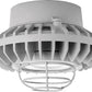 RAB HAZPLED26CF-G 26W Pendant Mount LED Hazardous Location Fixture, 5100K (Cool), 2881 Lumens, 69 CRI, Clear Lens, Wire Guard, Natural Finish