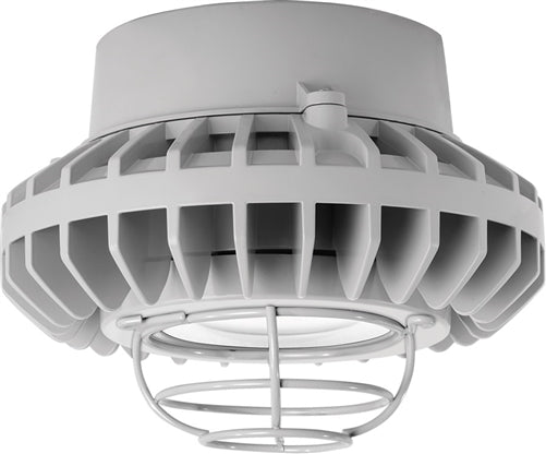 RAB HAZPLED26CF-G 26W Pendant Mount LED Hazardous Location Fixture, 5100K (Cool), 2881 Lumens, 69 CRI, Clear Lens, Wire Guard, Natural Finish