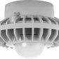 RAB HAZPLED26F 26W Pendant Mount LED Hazardous Location Fixture, 5100K (Cool), 2687 Lumens, 70 CRI, Frosted Globes, No Guard, Natural Finish