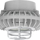 RAB HAZPLED26FF-DG 26W Pendant Mount LED Hazardous Location Fixture, 5100K (Cool), 2249 Lumens, 69 CRI, Frosted Lens, Die Cast Guard, Natural Finish