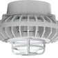 RAB HAZPLED42C-DG 42W Pendant Mount LED Hazardous Location Fixture, 5100K (Cool), 2671 Lumens, 70 CRI, Clear Globes, Die Cast Guard, Natural Finish