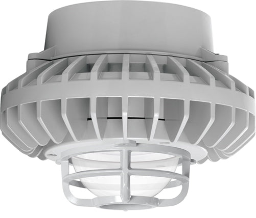 RAB HAZPLED42C-DG 42W Pendant Mount LED Hazardous Location Fixture, 5100K (Cool), 2671 Lumens, 70 CRI, Clear Globes, Die Cast Guard, Natural Finish