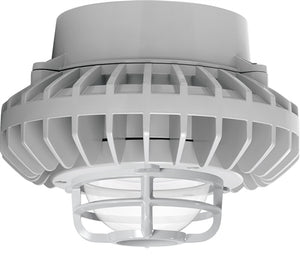 RAB HAZPLED42C-DG 42W Pendant Mount LED Hazardous Location Fixture, 5100K (Cool), 2671 Lumens, 70 CRI, Clear Globes, Die Cast Guard, Natural Finish