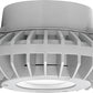 RAB HAZPLED42CF 42W Pendant Mount LED Hazardous Location Fixture, 5100K (Cool), 3816 Lumens, 69 CRI, Clear Lens, No Guard, Natural Finish