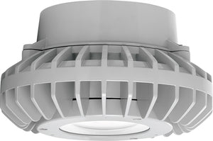 RAB HAZPLED42CF 42W Pendant Mount LED Hazardous Location Fixture, 5100K (Cool), 3816 Lumens, 69 CRI, Clear Lens, No Guard, Natural Finish