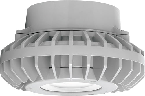RAB HAZPLED42CF 42W Pendant Mount LED Hazardous Location Fixture, 5100K (Cool), 3816 Lumens, 69 CRI, Clear Lens, No Guard, Natural Finish