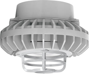 RAB HAZPLED42CF-DG 42W Pendant Mount LED Hazardous Location Fixture, 5100K (Cool), 3816 Lumens, 69 CRI, Clear Lens, Die Cast Guard, Natural Finish