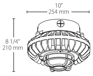 RAB HAZPLED42CF-DG 42W Pendant Mount LED Hazardous Location Fixture, 5100K (Cool), 3816 Lumens, 69 CRI, Clear Lens, Die Cast Guard, Natural Finish