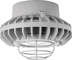 RAB HAZPLED42CF-G 42W Pendant Mount LED Hazardous Location Fixture, 5100K (Cool), 3816 Lumens, 69 CRI, Clear Lens, Wire Guard, Natural Finish