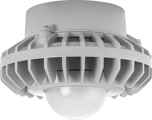 RAB HAZPLED42F 42W Pendant Mount LED Hazardous Location Fixture, 5100K (Cool), 3542 Lumens, 70 CRI, Frosted Globes, No Guard, Natural Finish