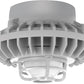 RAB HAZPLED42F-DG 42W Pendant Mount LED Hazardous Location Fixture, 5100K (Cool), 2520 Lumens, 70 CRI, Frosted Globes, Die Cast Guard, Natural Finish