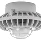 RAB HAZPLED42F-G 42W Pendant Mount LED Hazardous Location Fixture, 5100K (Cool), 3076 Lumens, 70 CRI, Frosted Globes, Wire Guard, Natural Finish