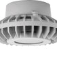 RAB HAZPLED42FF 42W Pendant Mount LED Hazardous Location Fixture, 5100K (Cool), 2986 Lumens, 69 CRI, Frosted Lens, No Guard, Natural Finish