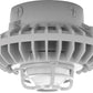 RAB HAZXLED26F-DG 26W Ceiling Mount LED Hazardous Location Fixture, 5100K (Cool), 1916 Lumen, 70 CRI, Frosted Globes, Die Cast Guard,  DLC Listed, Natural Finish