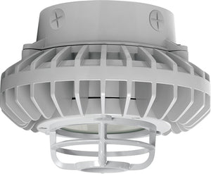 RAB HAZXLED26FF-DG 26W Ceiling Mount LED Hazardous Location Fixture, 5100K (Cool), 2249 Lumen, 69 CRI, Frosted Lens, Die Cast Guard,  DLC Listed, Natural Finish