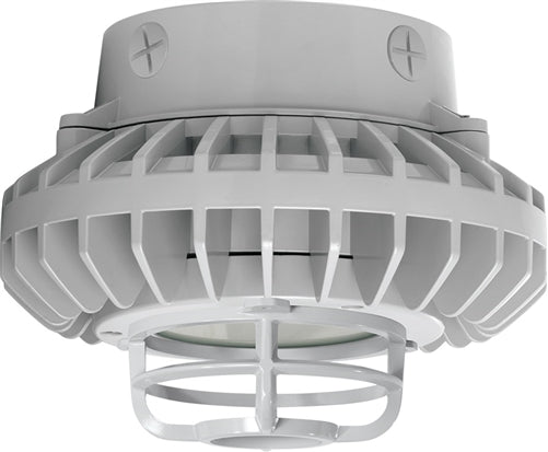 RAB HAZXLED26FF-DG 26W Ceiling Mount LED Hazardous Location Fixture, 5100K (Cool), 2249 Lumen, 69 CRI, Frosted Lens, Die Cast Guard,  DLC Listed, Natural Finish