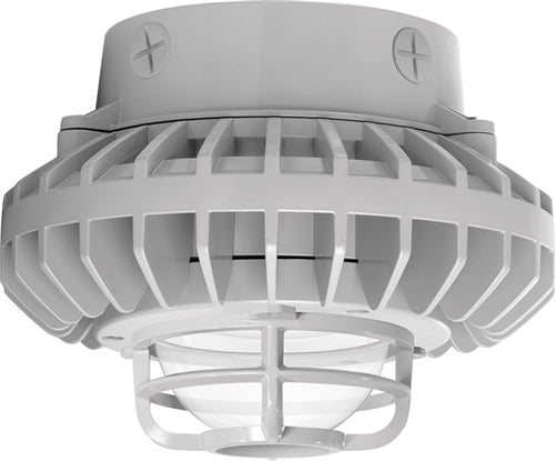 RAB HAZXLED42C-DG 42W Ceiling Mount LED Hazardous Location Fixture, 5100K (Cool), 2671 Lumen, 70 CRI, Clear Globes, Die Cast Guard,  DLC Listed, Natural Finish
