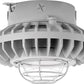 RAB HAZXLED42C-G 42W Ceiling Mount LED Hazardous Location Fixture, 5100K (Cool), 3316 Lumen, 70 CRI, Clear Globes, Wire Guard,  DLC Listed, Natural Finish