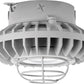 RAB HAZXLED42CF-G 42W Ceiling Mount LED Hazardous Location Fixture, 5100K (Cool), 3816 Lumen, 69 CRI, Clear Lens, Wire Guard,  DLC Listed, Natural Finish
