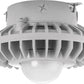 RAB HAZXLED42F 42W Ceiling Mount LED Hazardous Location Fixture, 5100K (Cool), 3542 Lumen, 70 CRI, Frosted Globes, No Guard,  DLC Listed, Natural Finish