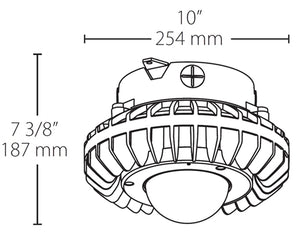 RAB HAZXLED42F 42W Ceiling Mount LED Hazardous Location Fixture, 5100K (Cool), 3542 Lumen, 70 CRI, Frosted Globes, No Guard,  DLC Listed, Natural Finish