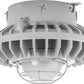 RAB HAZXLED42F-G 42W Ceiling Mount LED Hazardous Location Fixture, 5100K (Cool), 3076 Lumen, 70 CRI, Frosted Globes, Wire Guard,  DLC Listed, Natural Finish