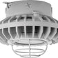 RAB HAZXLED42FF-G 42W Ceiling Mount LED Hazardous Location Fixture, 5100K (Cool), 2986 Lumen, 69 CRI, Frosted Lens, Wire Guard,  DLC Listed, Natural Finish