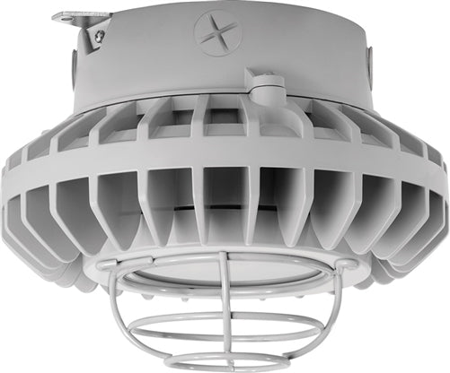 RAB HAZXLED42FF-G 42W Ceiling Mount LED Hazardous Location Fixture, 5100K (Cool), 2986 Lumen, 69 CRI, Frosted Lens, Wire Guard,  DLC Listed, Natural Finish