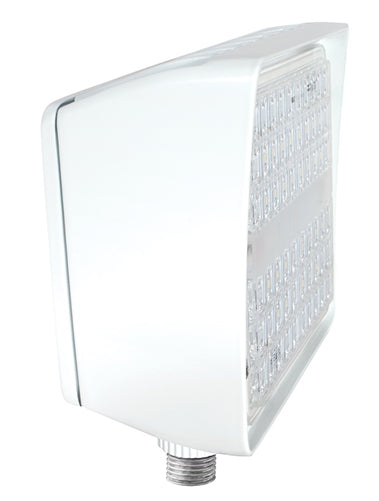 RAB PIP20W/D10 20W LED PIP Floodlight, No Photocell, 5000K (Cool), 2728 Lumens, 77 CRI, 120-277V, 7H x 7V Beam Distribution, Dimmable, DLC Listed, White Finish