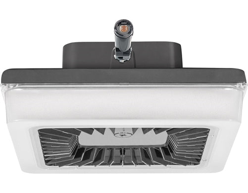 RAB PRT55/480/PCS4 55W LED PORTO Garage Light with 480V Swivel Photocell, 5000K (Cool), 6085 Lumens, 75 CRI, 480V, Standard Operation, Not DLC Listed, Bronze Finish