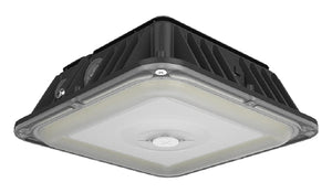 RAB VAN17-30 Field Adjustable Light Output 30W/25W/20W, 3000K/4000K/5000K Color Vandalproof Canopy Lighting, Bronze Finish