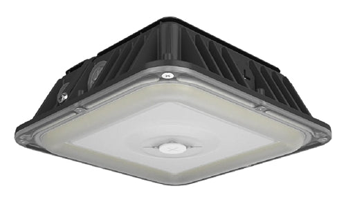 RAB VAN17-30 Field Adjustable Light Output 30W/25W/20W, 3000K/4000K/5000K Color Vandalproof Canopy Lighting, Bronze Finish