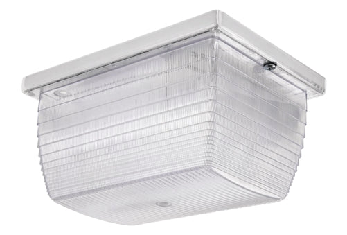 RAB VAN1F9W Vandalproof 9W Compact Fluorescent (CFL) Lamp White Color
