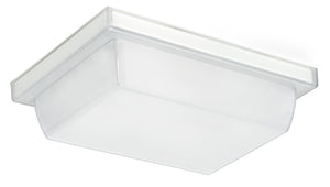 RAB VAN1LED6W 6W LED Vandalproof Canopy Light, 5000K (Cool), 872 Lumens, 85 CRI, 120V, DLC Listed, Equivalent up to 60W Incandescent, White Finish