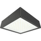 RAB VAN34-30FFR 30/20/10W Field-Adjustable Canopy LED Light, 3000/4000/5000K, 1442-4187 Lumens, Bronze