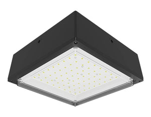 RAB VANLED10/E2 10W LED Canopy Light, 0-10V Dimming to 10%, Battery Backup, Bronze