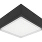 RAB VANLED20YFR 20W LED Canopy Light, 3000K, 2743 Lumens, 84 CRI, Drop Lens, Bronze