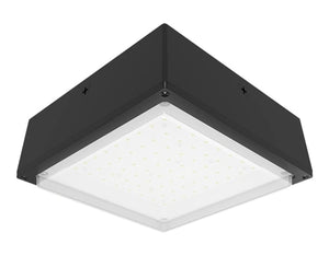 RAB VANLED20YFR 20W LED Canopy Light, 3000K, 2743 Lumens, 84 CRI, Drop Lens, Bronze
