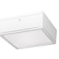 RAB VANLED65FW/D10 65W LED Canopy Light, 5000K (Cool), 6015 Lumens, 75 CRI, 120V-277V, Flat Lens, Dimmable Operation, DLC Listed, White Finish